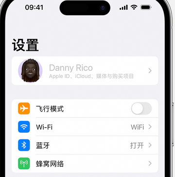 清溪镇appleID维修服务iPhone设置中Apple ID显示为灰色无法使用 