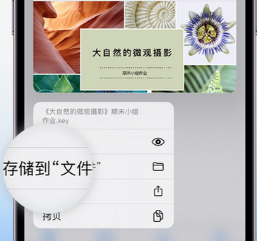 清溪镇apple维修中心分享iPhone文件应用中存储和找到下载文件