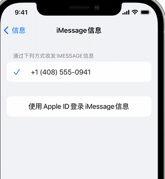 清溪镇apple维修iPhone上无法正常发送iMessage信息 