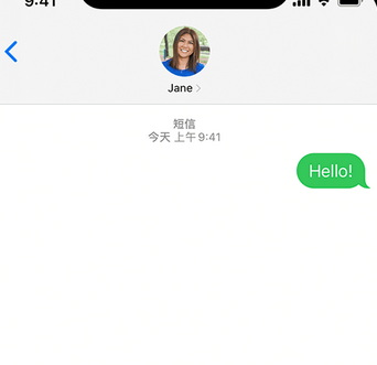 清溪镇apple维修iPhone上无法正常发送iMessage信息