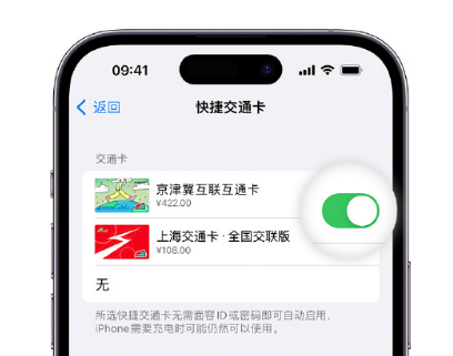 清溪镇apple维修点分享iPhone上更换Apple Pay快捷交通卡手绘卡面 