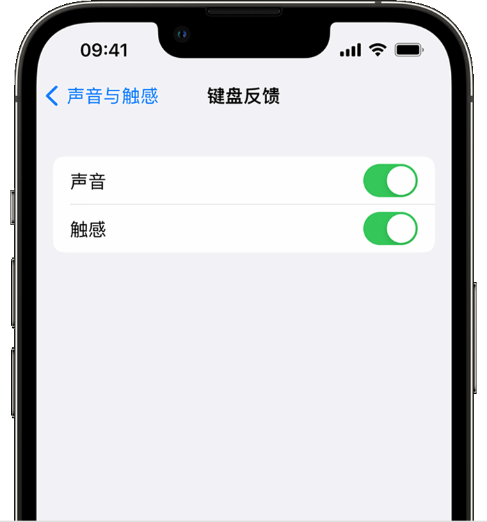 清溪镇苹果14维修店分享如何在 iPhone 14 机型中使用触感键盘 