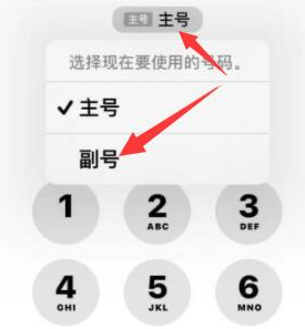 清溪镇苹果14维修店分享iPhone 14 Pro Max使用副卡打电话的方法 