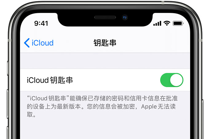 清溪镇苹果手机维修分享在 iPhone 上开启 iCloud 钥匙串之后会储存哪些信息 