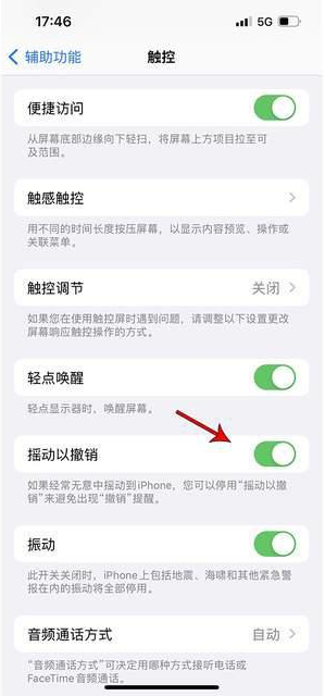 清溪镇苹果手机维修分享iPhone手机如何设置摇一摇删除文字 